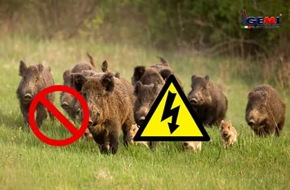Elektriske afskrækkende midler til dyr: Sådan beskytter du din have.