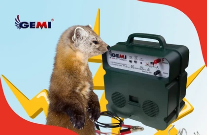 Martens: Sådan holder du dem væk effektivt og sikkert